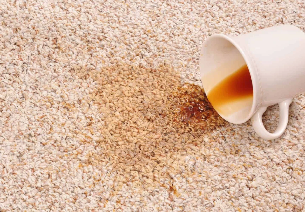 چگونه از ماندگاری لکه‌ های موکت جلوگیری کنیم