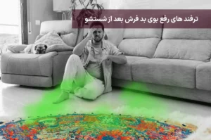 ترفند های رفع بوی بد فرش بعد از شستشو