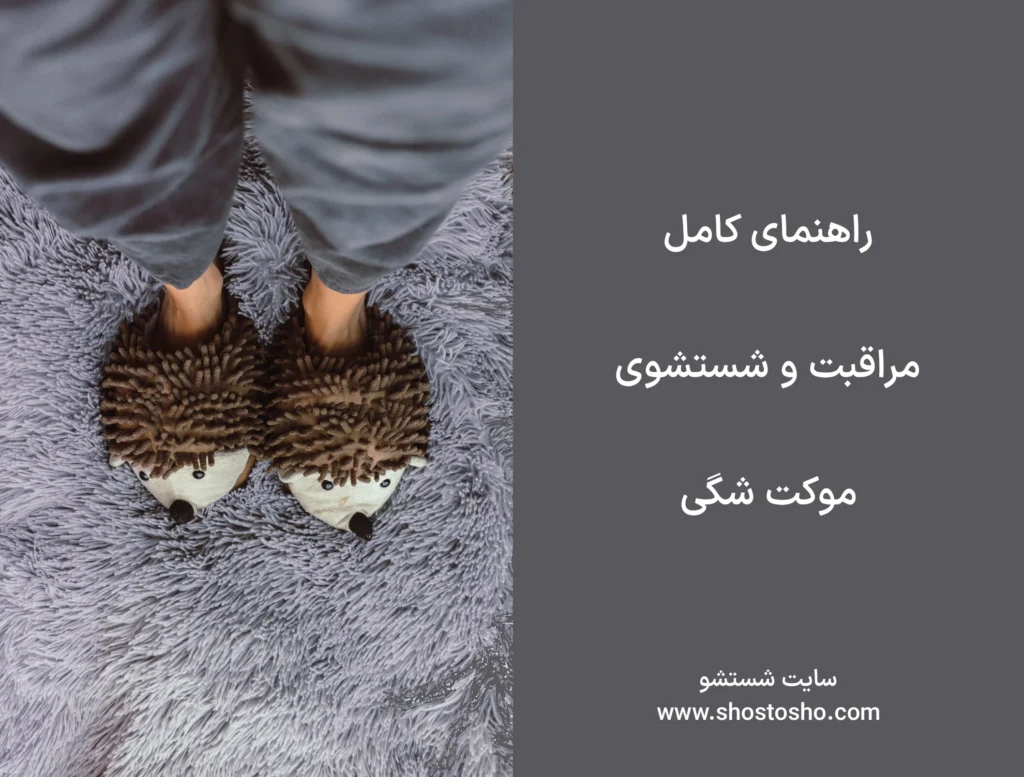 راهنمای کامل مراقبت و شستشوی موکت شگی