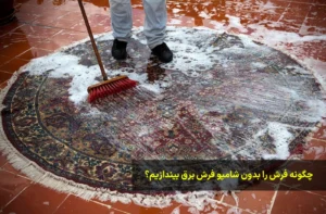چگونه فرش را بدون شامپو فرش برق بیندازیم